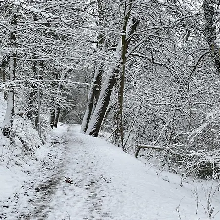 Lakeside Comfort With Balcony, Cleaning Included *